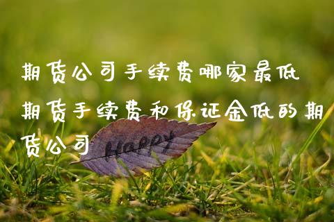 期货公司手续费哪家最低 期货手续费和保证金低的期货公司