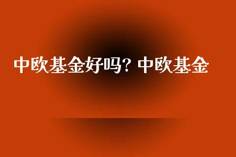 中欧基金好吗? 中欧基金