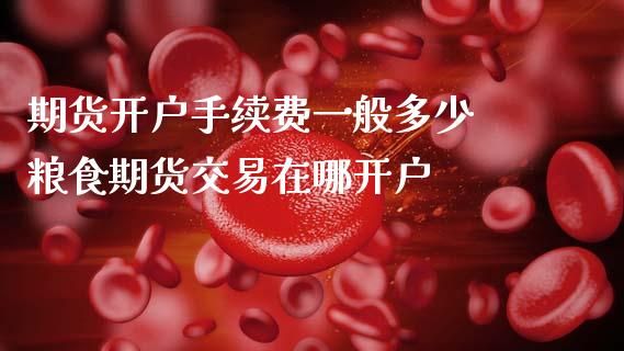 期货开户手续费一般多少 粮食期货交易在哪开户
