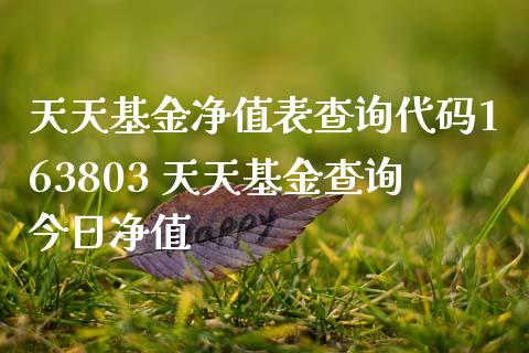 天天基金净值表查询代码163803 天天基金查询今日净值