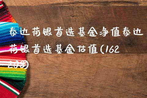 泰达荷银首选基金净值泰达荷银首选基金估值(162208)