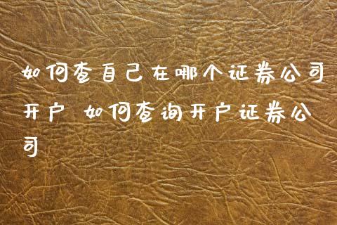 如何查自己在哪个证券公司开户 如何查询开户证券公司
