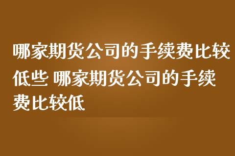 哪家期货公司的手续费比较低些 哪家期货公司的手续费比较低