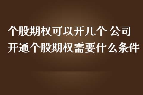 个股期权可以开几个 公司开通个股期权需要什么条件