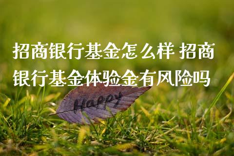 招商银行基金怎么样 招商银行基金体验金有风险吗
