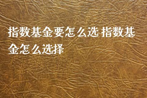指数基金要怎么选 指数基金怎么选择