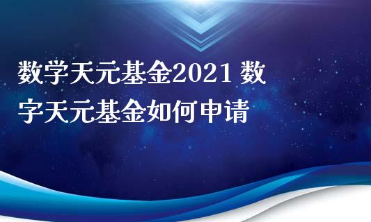 数学天元基金2021 数字天元基金如何申请