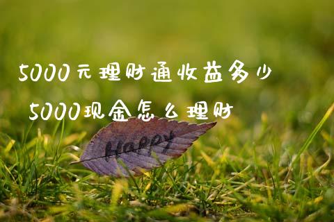 5000元理财通收益多少 5000现金怎么理财