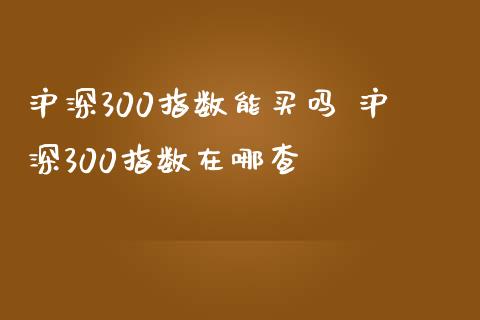 沪深300指数能买吗 沪深300指数在哪查