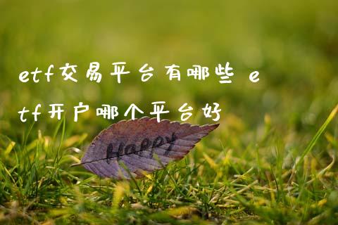 etf交易平台有哪些 etf开户哪个平台好