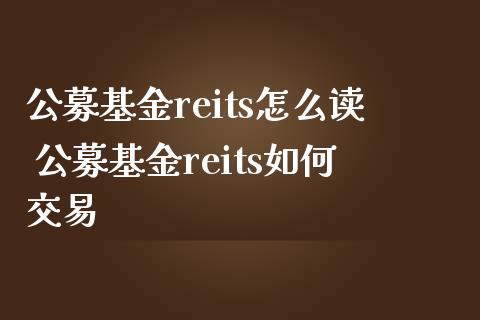 公募基金reits怎么读 公募基金reits如何交易