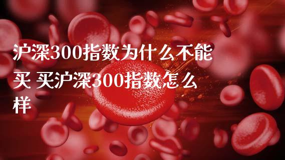 沪深300指数为什么不能买 买沪深300指数怎么样