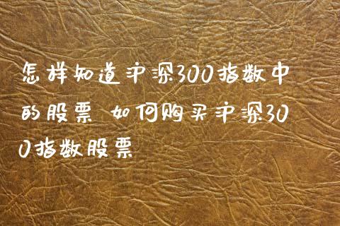 怎样知道沪深300指数中的股票 如何购买沪深300指数股票