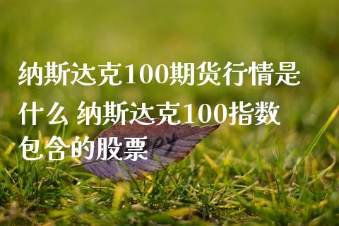 纳斯达克100期货行情是什么 纳斯达克100指数包含的股票