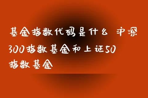基金指数代码是什么 沪深300指数基金和上证50指数基金