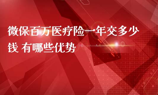 微保百万医疗险一年交多少钱 有哪些优势
