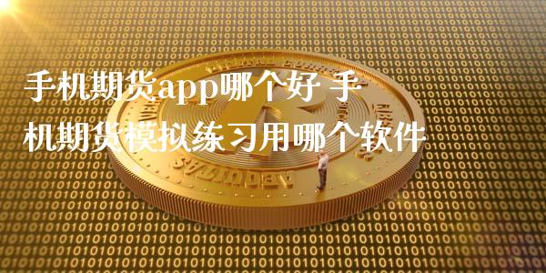 手机期货app哪个好 手机期货模拟练用哪个软件