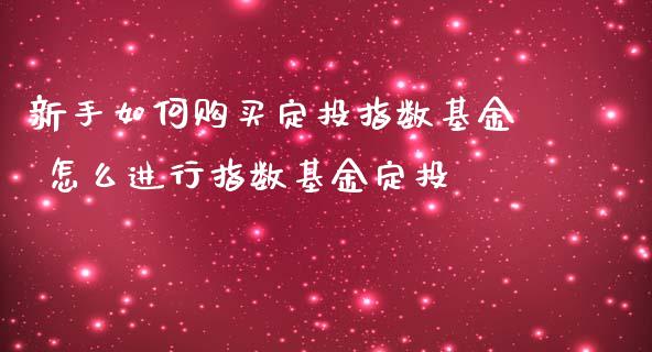 新手如何购买定投指数基金 怎么进行指数基金定投