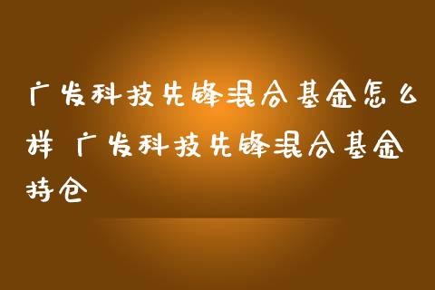 广发科技先锋混合基金怎么样 广发科技先锋混合基金持仓