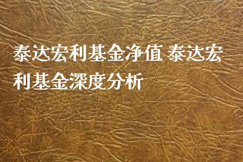 泰达宏利基金净值 泰达宏利基金深度分析