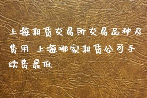 上海期货交易所交易品种及费用 上海哪家期货公司手续费最低