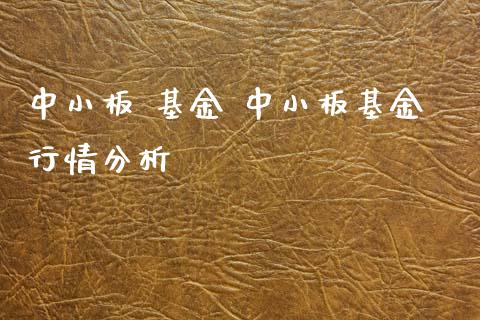 中小板 基金 中小板基金行情分析