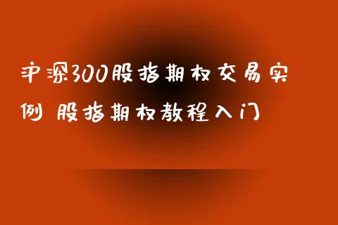 沪深300股指期权交易实例 股指期权教程入门