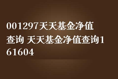 001297天天基金净值查询 天天基金净值查询161604