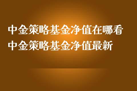 策略基金净值在哪看 策略基金净值最新