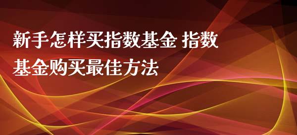 新手怎样买指数基金 指数基金购买最佳方法