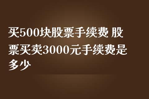 买500块股票手续费 股票买卖3000元手续费是多少