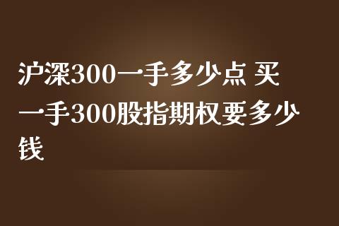 沪深300一手多少点 买一手300股指期权要多少钱
