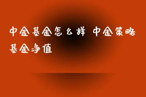 基金怎么样 策略基金净值