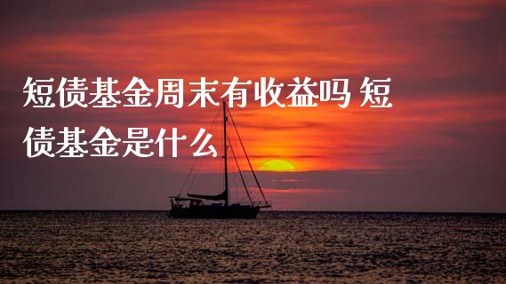 短债基金周末有收益吗 短债基金是什么