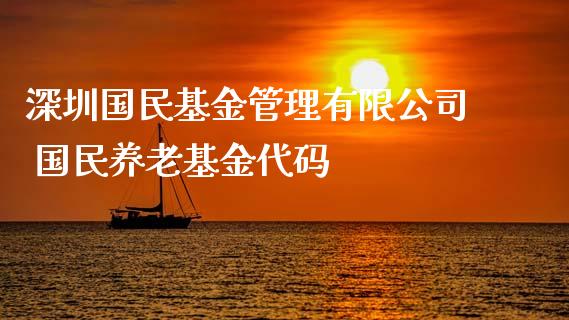 深圳国民基金管理有限公司 国民养老基金代码