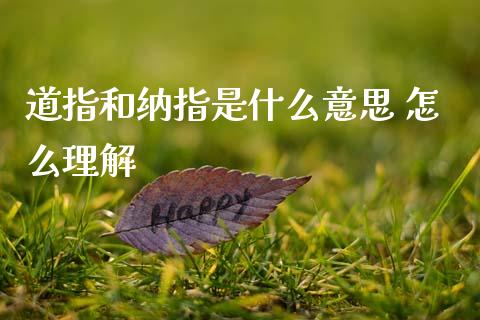 道指和纳指是什么意思 怎么理解