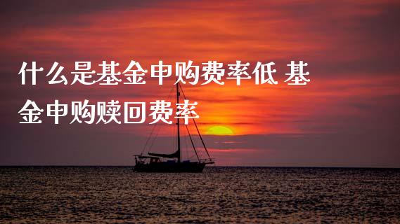 什么是基金申购费率低 基金申购赎回费率