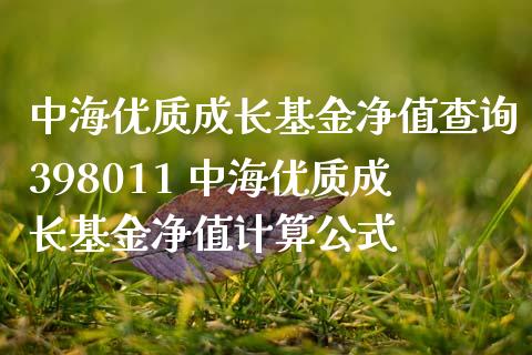 中海优质成长基金净值查询398011 中海优质成长基金净值计算公式