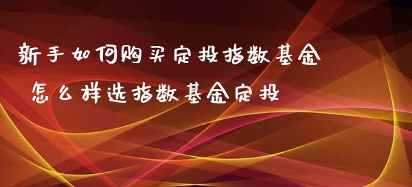 新手如何购买定投指数基金 怎么样选指数基金定投