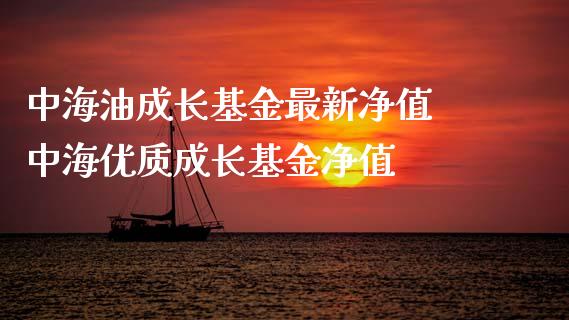 中海油成长基金最新净值 中海优质成长基金净值