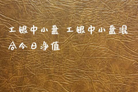 工银中小盘 工银中小盘混合今日净值