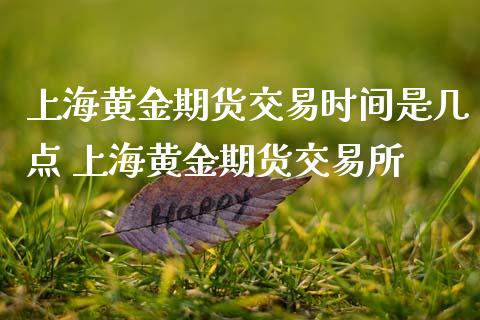 上海黄金期货交易时间是几点 上海黄金期货交易所