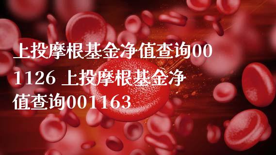 上投摩根基金净值查询001126 上投摩根基金净值查询001163