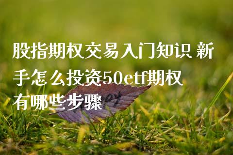 股指期权交易入门知识 新手怎么投资50etf期权有哪些步骤