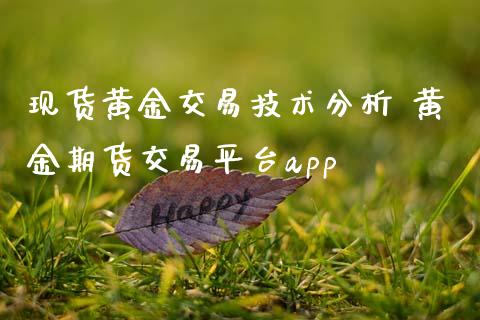 现货黄金交易技术分析 黄金期货交易平台app