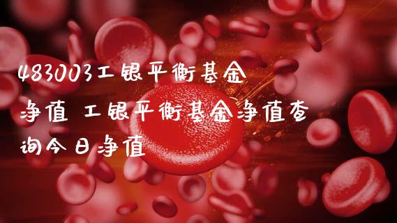 483003工银平衡基金净值 工银平衡基金净值查询今日净值