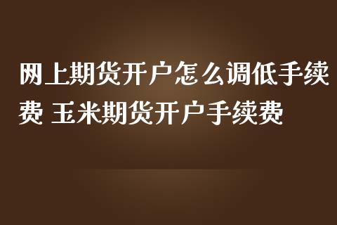 网上期货开户怎么调低手续费 玉米期货开户手续费