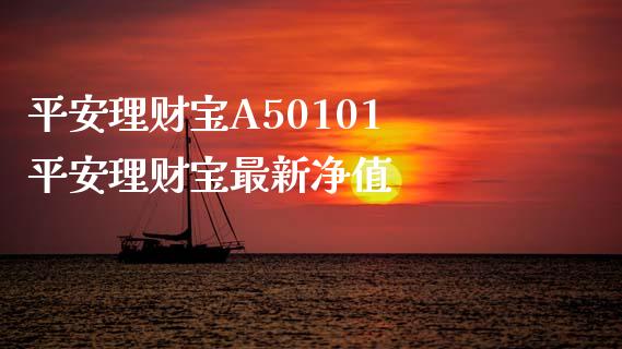 平安理财宝A50101 平安理财宝最新净值
