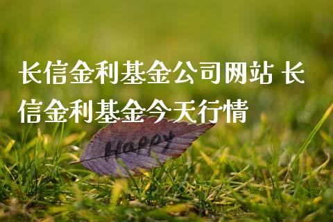 长信金利基金公司网站 长信金利基金今天行情