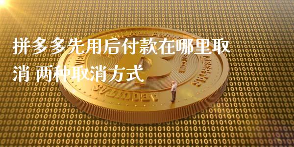拼多多先用后付款在哪里取消 两种取消方式
